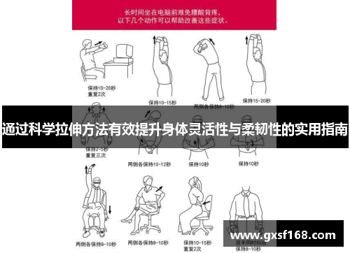 通过科学拉伸方法有效提升身体灵活性与柔韧性的实用指南